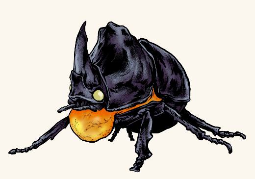 Fire Beetle