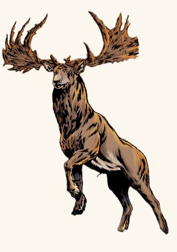 Giant Elk