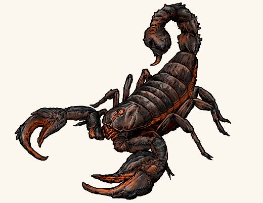 Giant Scorpion