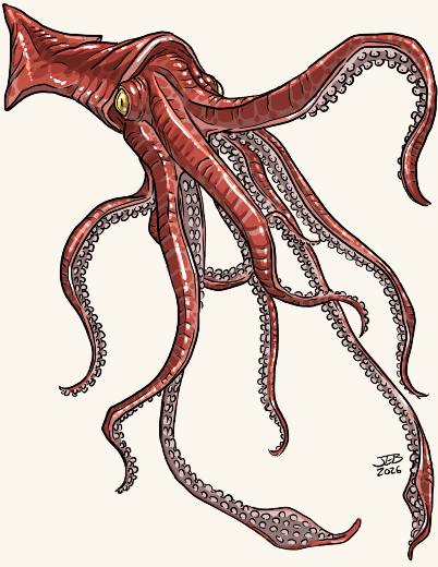 Giant Squid