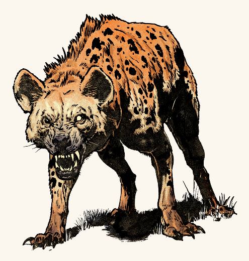 Hyena