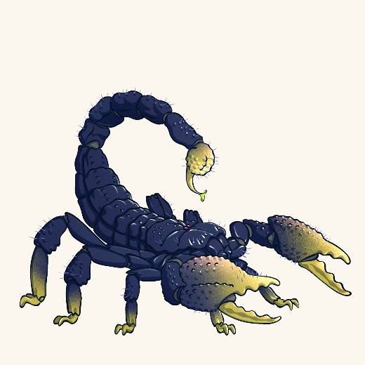 Irradiated Scorpion