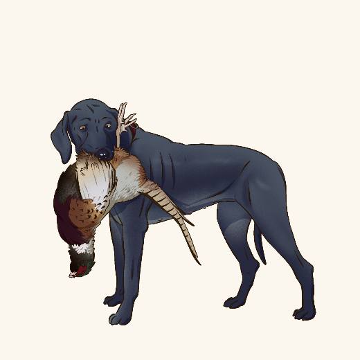 Mastiff