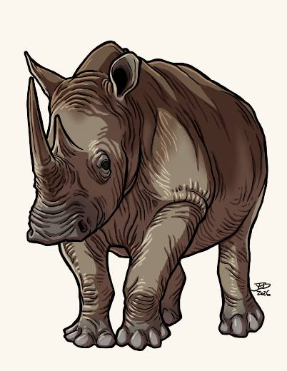 Rhinoceros