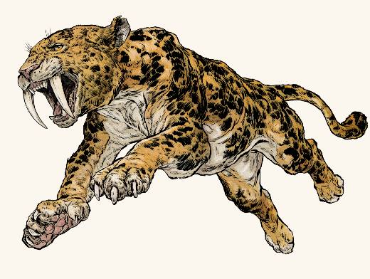 Sabre Cat