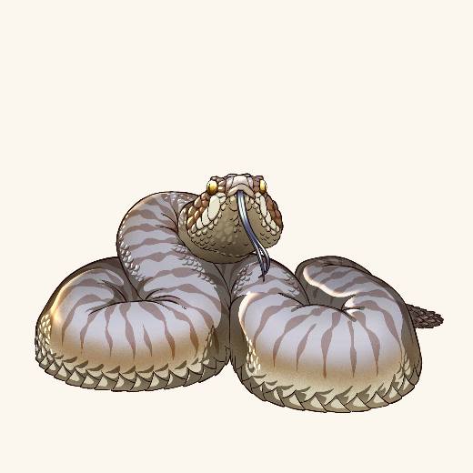 Sand Snake