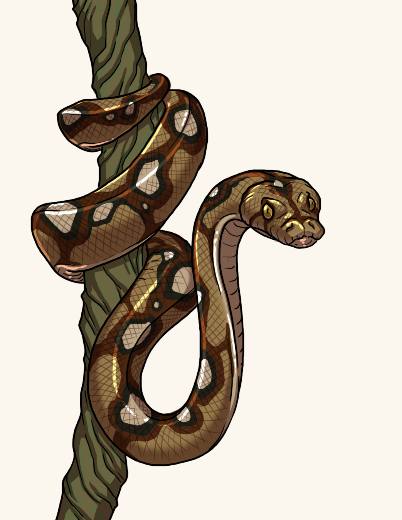 Snake