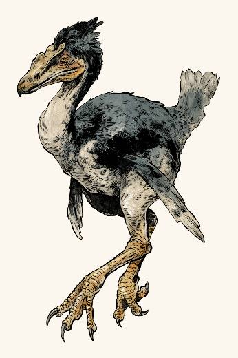 Terror Bird