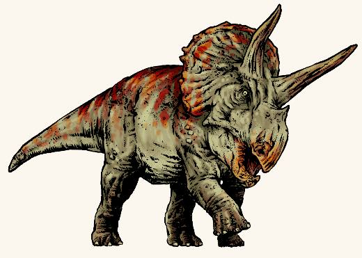 Triceratops