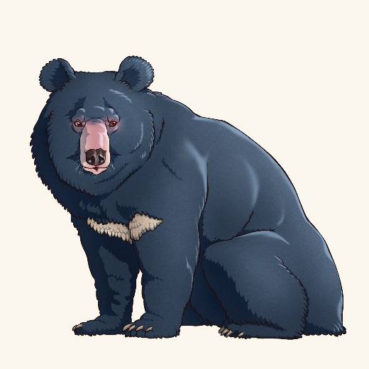 Ursine