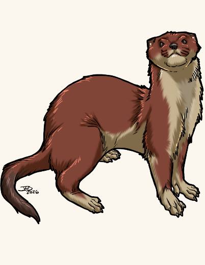 Weasel