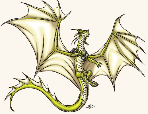 Adult Golden Dragon
