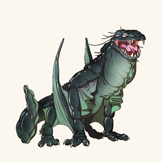 Young Onyx Dragon