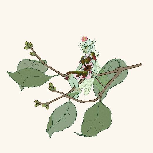 Fairy