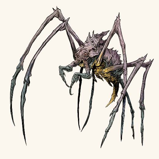 Chasm Spider