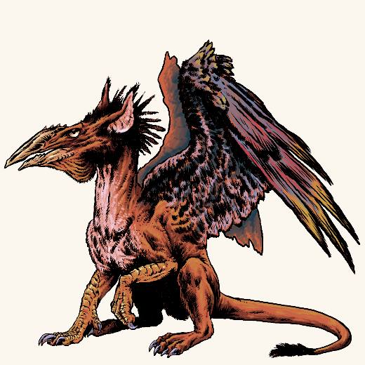 Griffon