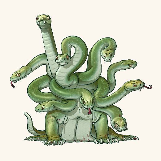 Hydra