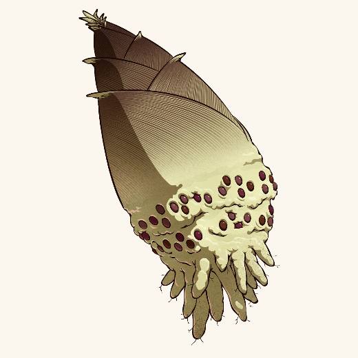 Spore Carrier