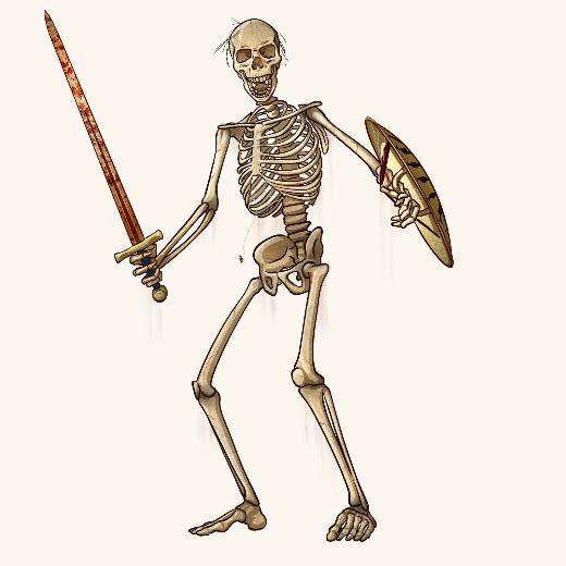 Skeleton